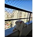 Die Grup 2 mm Kedi Güvenlik Filesi Balkon Filesi 2x1 Metre