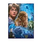 Die Grup 500 Parçalı Puzzle Harry Potter
