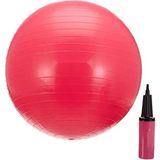 Die Grup 55 cm Pompalı Pilates Topu - Dayanıklı Pvc Malzeme