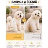 Die Grup Busstier Dişi Köpek Külot Bezi Regl Dönemi Idrar Kaçırma Önleyici Süper Emici Pet Bezi 10 Adet Xxs Xs S M L Xl 26-55 cm (M 33-53 Cm)