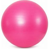 Die Grup Busstier Pilates Topu 65 Cm, Denge ve Egzersiz Çalışmaları Için Fitness Topu, Evde Spor ve Esneme Antrenmanlarına Uygun, Asorti Renk - 00Kırmızı