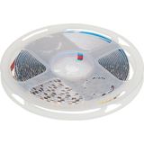 Die Grup Cata CT-4538G 240 Çipli G.ışığı LED Şerit(5 Mt) Cata - 1 x 100 cm - 00 Beyaz
