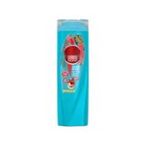 Die Grup Dökülme Karşıtı Saç Bakım Şampuanı - Argan Yağı ve Hibiskus 400ML