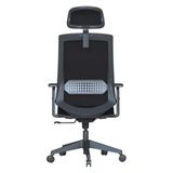 Die Grup Ergonomik Fileli Ofis Çalışma Koltuğu, Ayarlanabilir Başlık ve Bel Desteği - 10*10 CM - Renkli