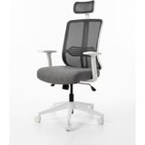 Die Grup Ergonomik Yönetici Ofis Koltuğu - Konforlu Tasarım - 10*10 CM - Renkli