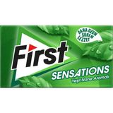 Die Grup First Sensations Yeşil Nane Aromalı Sakız 27 Gr, 12’li Paket - 0,5 kg