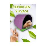 Die Grup Kedi Çimi Tohumu