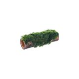 Die Grup Marimo Moss Bambu Canlı Bitki