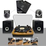Die Grup Midex MTX-256S Set Nostaljik Pikap Plak Çalar ve Hoparlör Ses Sistemi Seti (Bluetooth Usb) - Altın