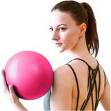 Die Grup Pilates Denge Egzersiz Topu, 25 cm ve Dayanıklı Tasarım