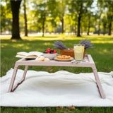 Die Grup Portatif Laptop Sehpası ve Kahvaltı Masası, Tablet Standı ile Çok Amaçlı - 10*10 CM - Renkli