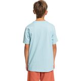 Die Grup Quiksilver Comp Logo Bluzlar Çocuk (1 Paket) - 0 - 1 Ay - 0 - Kahverengi