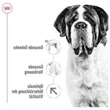 Die Grup Royal Canin Giant Adult Köpek Sı, 15 kg - 0,18 kg