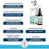 Die Grup Sindirim ve Bağışıklığı Destekleyen 50 ml Probiyotik Damla