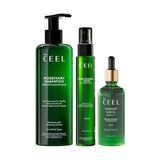 Die Grup The Ceel Biberiye Saç Bakım Seti 3’lü – Biberiye Şampuanı 250 Ml, Saç Toniği 100 Ml, Saç Yağı 50 ml – Biotin, Keratin ve E Vitamini Içeren Saç ve Saç Derisi Bakımı