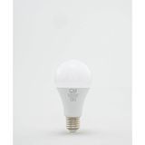Die Grup Tr 15W 4000 Gün Işığı LED Ev Ampülü - Enerji Tasarrufu - LED Gün Işığı Ampül - E27 Duy Uyumlu - Tasarruflu Aydınlatma - Amber