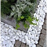 Die Grup Tr Beyaz Dolomit Taş 10 kg 4-6 cm Dekorotif Bahçe Süs Taşı Loche NO,67554443355 - Adaçayı Yeşili