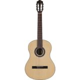 Die Grup Tr IC-100G 4/4 Dna Klasik Gitar - 3 Renk Sunburst