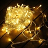 Die Grup Yılbaşı Aydınlatması 100 LED Perde Hortum Sıcak Beyaz Işık - 10 Metre Dekoratif Şeffaf Kablolu Süs