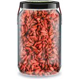 Die Grup Zencefil Organik Goji Berry Bi Kavanoz 660 Cc. Cam Kavanozda Katkısız Kuru Goji Berry Üzümü Pure Dried Goji Berries - 001-Renkli - 1 Adet - 0,21 L