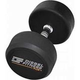 Diesel Fitness 24 kg Plus Dambıl