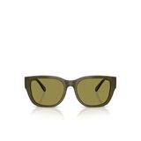 Diesel Unisex Güneş Gözlüğü 0DL2005532024/2