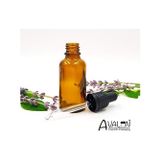 Diğer 57858324454735099283959 20 Ml Boş Amber Cam Şişe Siyah Damlalık Pipetli Aromaterapi, Sanat, El Sanatları, İlk Yardım, Göz Damlası, Kulak Damlası Vb. İçin 0