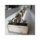 DİĞER1111 AHŞAP SAKSI 40 x 30 x 100 Şeffaf 08