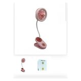 DIGERUI Şarjlı Mini Fan YM88192 Kıskaçlı Mandallı Akrobat Esnek Boyunlu Masaüstü Taşınabilir Vantilatör