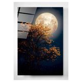 Digi Foto Dolunay Cam Tablo | Sanatsal Duvar Dekoru | Parlak ve Net Görüntü | Ev ve İş Yeri | Sevdiklerinize Hediyelik | Dayanıklı Cam Yapı