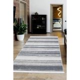 Dijidekor Halı Gri 9026 Cool Yıkanabilir Saçaklı Kesme Ince Yolluk Kilim Salon Halısı Modelleri, 140x200