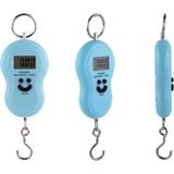Dijital Elektronik El Kantarı 50 kg Terazi Tartı 10 gr Hassas - Hassas Terazi - 4 Ay