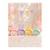Dijital Nostal Tavşan Kutu 4 Adet Hediyelik Trend Şeker Kutusu | 4 Renkli Parti ve Baby Shower Kutusu