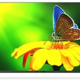 Dijitsu 50DW9900 50 inç 127 Ekran 4K Ultra HD WebOS LED TV