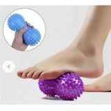 Dikenli Masaj Topu Duyu Bütünleme Duyu Topu Ayak Masaj Silindir Mor