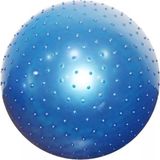 Dikenli Pilates & Yoga Topu 55 cm Mavi Renk