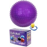 Dikenli Yoga Pilates Aeorobik Jimnastik Topu 65 Cm Mor Lyt1048