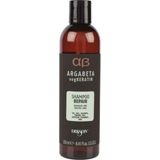 Dikson Argabeta Yeniden Yapılandırıcı Bitkisel Keratin Yıpranmış Saçlar 250 ml Şampuan