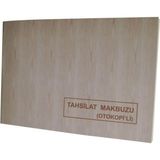 Dilman Tahsilat Makbuzu 2/50 2 N Otokopili - Çok Renkli