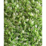 Dilşeker 250 gr Naneli ve Mentollü Şeker