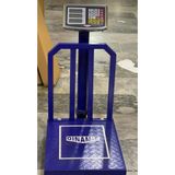 Dinamic 300 Kg Dijital Elektronik Dijital Korumalı Terazi Baskül