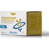 Dinamis Glucosamine Chondroitin Msm With Collagen Boswellia 6 Gr
