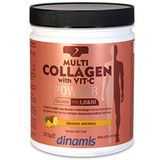 Dinamis Multi Collagen with Vit-C 315 gr Toz