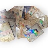 Dinozor Holo Parşömen ve Çıkartma Seti Yetişkinler ve Çocuklar için (20 Yaprak) Vintage Hayvan Çıkartmaları, Dekorasyon ve Okul Malzemeleri için Gerçekçi Hayvan Çıkartmaları, Koleksiyon Defteri ve