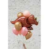 Dinozor Konsept Kahverengi Dinozor Balon Set Dinosaur Balloon Birthday Party Set