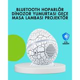 Dinozor Yumurtası Tasarımlı Gece Lambası – Müzik Ve Işık Senkronizasyonlu Mir27490257