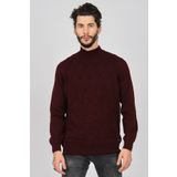 Dio Rise Erkek Desenli Yarım Balıkçı Kazak 650189280 Bordo