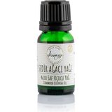 Dionesse Sedir Ağacı Uçucu Yağı 10 ml