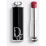 Dior 3,2 gr Likit Ruj - Renksiz