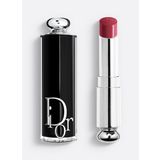 Dior Addict Parlak Ruj 667 Diormania